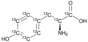 L-Tyrosine-13C9 98 atom % 13C, 95% (CP)