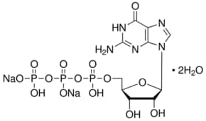 5&#8242;-三磷酸鸟苷 钠盐 水合物 &#8805;90% (HPLC)