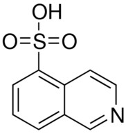 5-异喹啉磺酸 95%