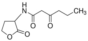 N-(&#946;-酮己酸）- DL -高丝氨酸内酯 analytical standard