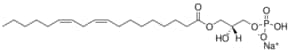 2-油酰基-2-羟基-sn-甘油基-3-磷酸钠 钠盐 1-linoleoyl-2-hydroxy-sn-glycero-3-phosphate (sodium salt), chloroform