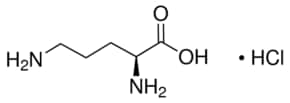 L-Ornithine monohydrochloride &#8805;99%