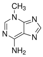 3-甲基腺嘌呤 autophagy inhibitor
