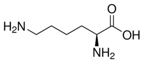 L -赖氨酸 Vetec&#8482;, reagent grade, &#8805;98%