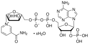 &#946;-Nicotinamide adenine dinucleotide phosphate hydrate