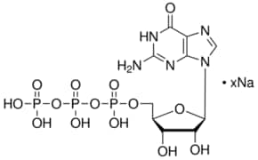 鸟苷5&#8242;-三磷酸 钠盐 溶液 HPLC purified, aqueous solution for RNA polymerase transcription