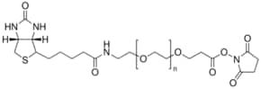 O-[2-(生物素基-氨基)乙基]-O′-[3-(N-琥珀酰亚胺氧基)-3-氧代丙基]聚乙二醇 3000 Mp 3,000