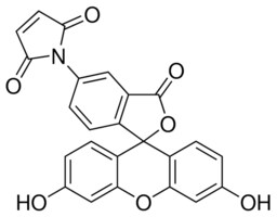 N-（5-荧光素基）马来酰亚胺 &#8805;90% (HPLC), suitable for fluorescence, BioReagent
