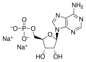 Adenosine 5&#8242;-monophosphate disodium salt &#8805;99.0% (HPLC)
