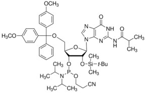 DMT-2&#8242;O-TBDMS-rG（ib）亚磷酰胺 configured for MerMade