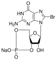 8-溴鸟嘌呤3'，5'-环一磷酸 钠盐 &#8805;98% (HPLC), powder