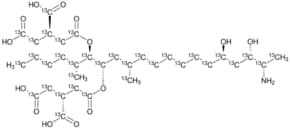Fumonisin B2-13C34 solution ~10&#160;&#956;g/mL in acetonitrile: water, analytical standard