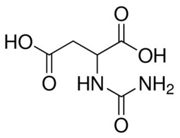 DL-脲基琥珀酸 98.0-102.0% (T)