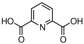 2,6-Pyridinedicarboxylic acid 99%