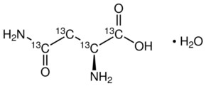 L-天冬酰胺-13C4 一水合物 98 atom % 13C, 95% (CP)
