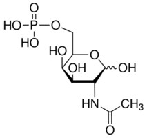 N-Acetyl-D-galactosamine-6-phosphate &#8805;97.0% (HPLC)