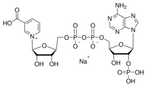 烟酸腺嘌呤二核苷酸磷酸 钠盐 &#8805;92.5%