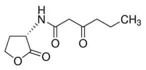 N-(&#946;-酮己酰)-L-高丝氨酸内酯 &#8805;98%