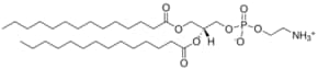 14:0 PE 1,2-dimyristoyl-sn-glycero-3-phosphoethanolamine, powder