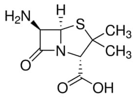 (+)-6-Aminopenicillanic acid analytical standard