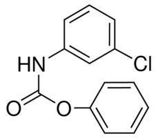 PHENYL N-(3-CHLOROPHENYL)CARBAMATE AldrichCPR