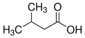 Isovaleric acid analytical standard