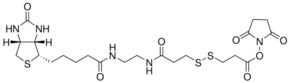3-[3-[2-(生物素酰胺)乙基]氨基-3-氧代丙基]二硫基]丙酸琥珀酰亚胺酯 &gt;98%, powder