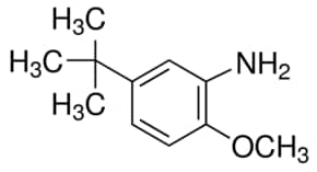5-叔丁基-邻茴香胺 97%