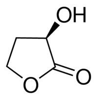 (R)-(+)-&#945;-Hydroxy-&#947;-butyrolactone 95%, optical purity ee: 98% (GLC)