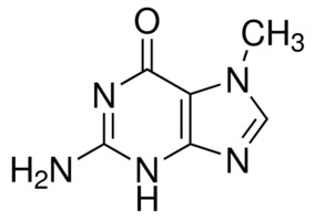 7-甲基鸟嘌呤 &#8805;98.0% (HPLC)