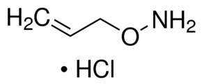 O-烯丙基羟胺 盐酸盐 &#8805;98.0% (AT)