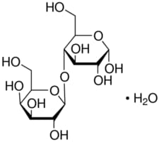 &#945;-Lactose monohydrate BioXtra, &#8805;99% total lactose basis (GC)