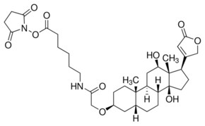 地高辛-3-O-甲基羰基-&#949;-氨基己酸-N-羟基琥珀酰亚胺酯 &gt;90% (elementary analysis), pkg of 5&#160;mg, powder, pH range 2-13