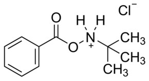 N-叔丁基-O-苯甲酰羟胺 盐酸盐 97%