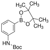 3-(N-Boc-氨基)苯硼酸频哪醇酯 97%