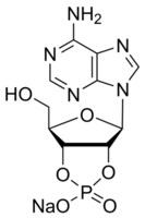 腺苷 2′:3′-循环磷酸钠盐 钠盐 &#8805;93%