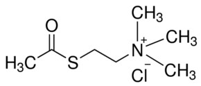氯化乙酰硫代胆碱 &#8805;99% (TLC), powder