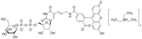 葡萄糖-UDP-荧光素结合物
