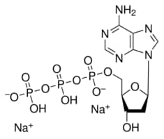 2′-脱氧腺苷-5′-三磷酸 二钠盐 &#8805;97%