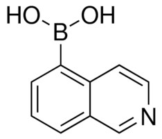 5-异喹啉硼酸 &#8805;95.0%