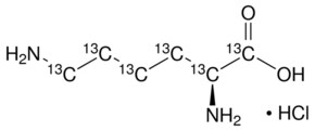 L-赖氨酸-13C6 盐酸盐 99 atom % 13C, 95% (CP)