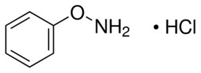 O-苯基羟胺 盐酸盐 &#8805;97.0% (AT)