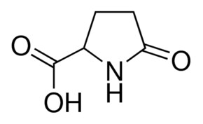 2-吡咯烷酮-5-羧酸 99%