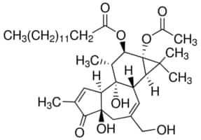 Phorbol 12-myristate 13-acetate &#8805;99% (TLC), film or powder