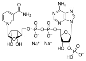 &#946;-磷酸烟酰胺腺嘌呤二核苷酸 二钠盐 &#8805;97% (calc. based on dry substance, enzymatic)