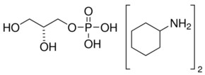 sn-甘油3-磷酸双（环己基铵）盐 双环己铵盐 &#8805;93%