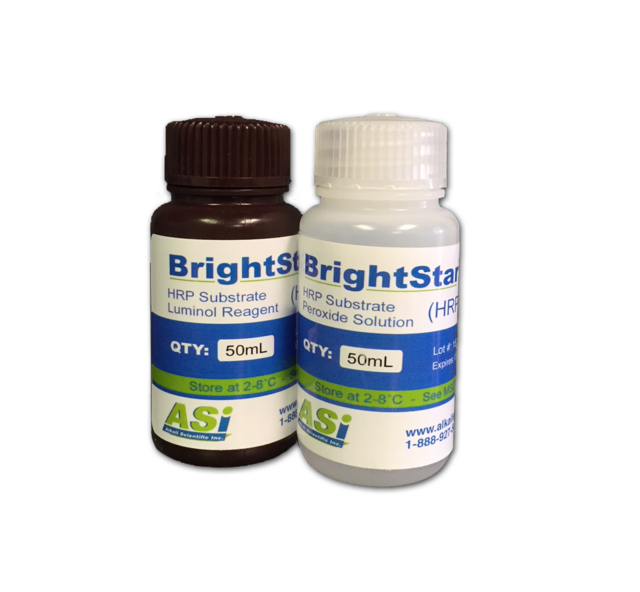 Alkali Scientific™ BrightStar™ Femto HRP Chemiluminescent Substrate Pre-Mixed Single Component Luminol and Peroxide, ECL Mix, total 15mL