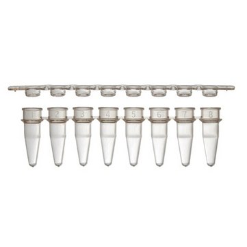 Alkali Scientific™ ProCycle™ 8-strip PCR tubes 0.2mL, with separate flat caps, assorted colors, 125x8, 1000/PK